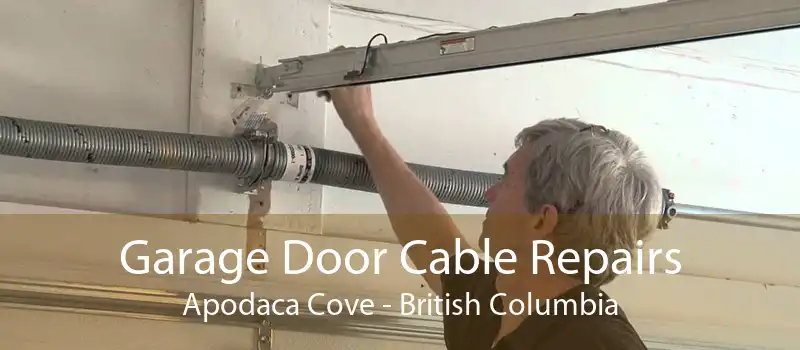 Garage Door Cable Repairs Apodaca Cove - British Columbia