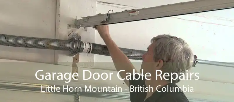 Garage Door Cable Repairs Little Horn Mountain - British Columbia