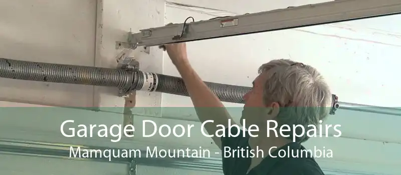 Garage Door Cable Repairs Mamquam Mountain - British Columbia
