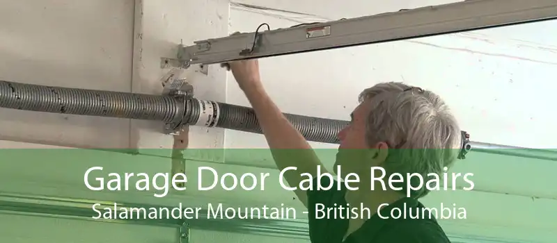 Garage Door Cable Repairs Salamander Mountain - British Columbia