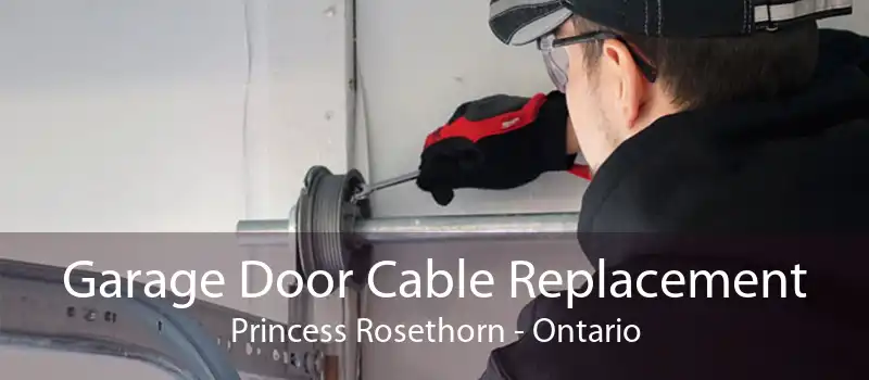 Garage Door Cable Replacement Princess Rosethorn - Ontario