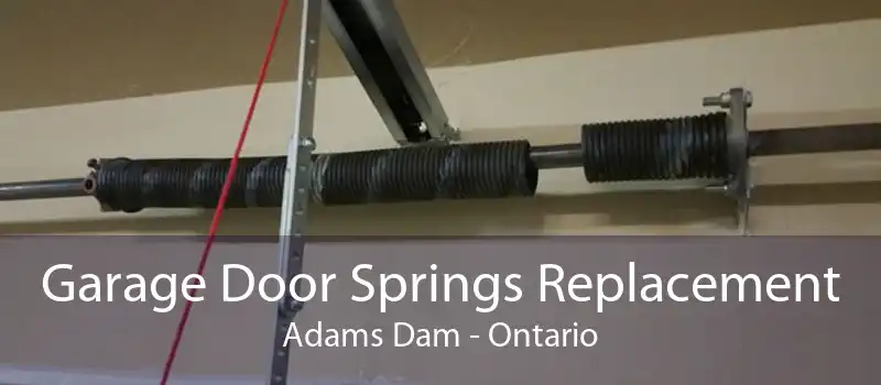 Garage Door Springs Replacement Adams Dam - Ontario