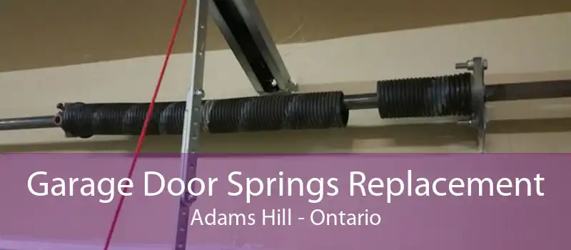 Garage Door Springs Replacement Adams Hill - Ontario