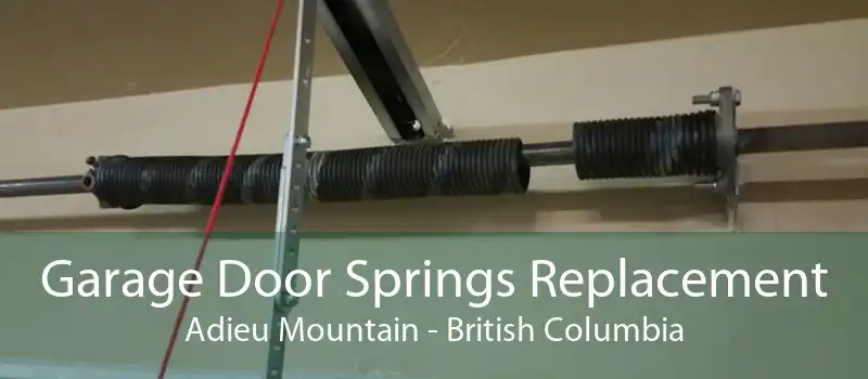 Garage Door Springs Replacement Adieu Mountain - British Columbia