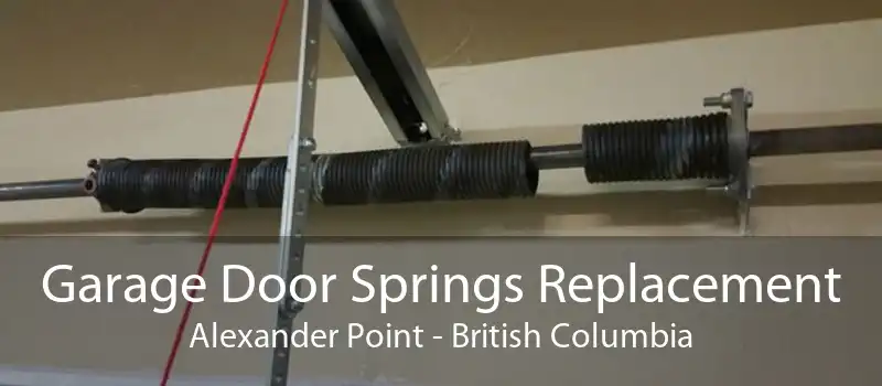 Garage Door Springs Replacement Alexander Point - British Columbia