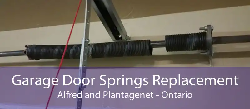 Garage Door Springs Replacement Alfred and Plantagenet - Ontario