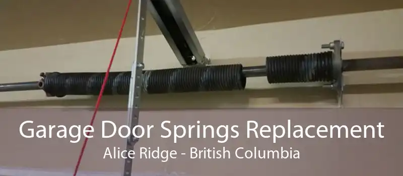 Garage Door Springs Replacement Alice Ridge - British Columbia