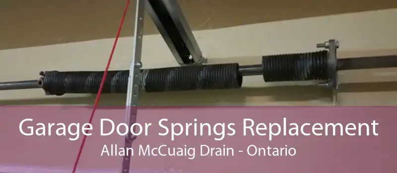 Garage Door Springs Replacement Allan McCuaig Drain - Ontario