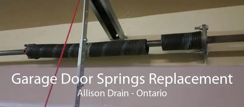 Garage Door Springs Replacement Allison Drain - Ontario
