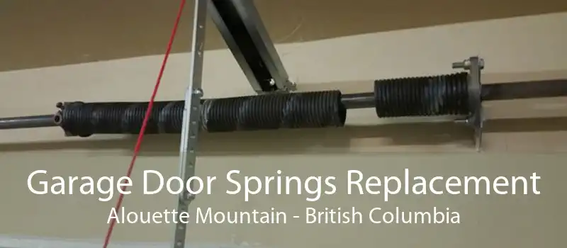 Garage Door Springs Replacement Alouette Mountain - British Columbia