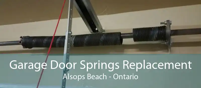 Garage Door Springs Replacement Alsops Beach - Ontario