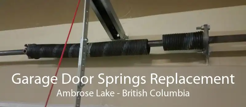 Garage Door Springs Replacement Ambrose Lake - British Columbia