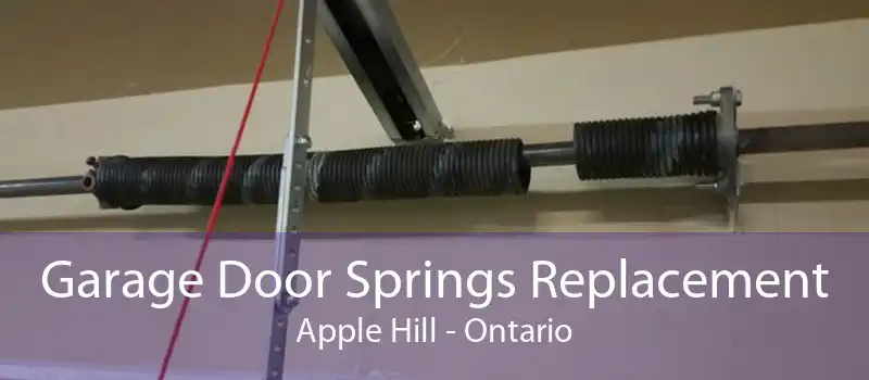 Garage Door Springs Replacement Apple Hill - Ontario