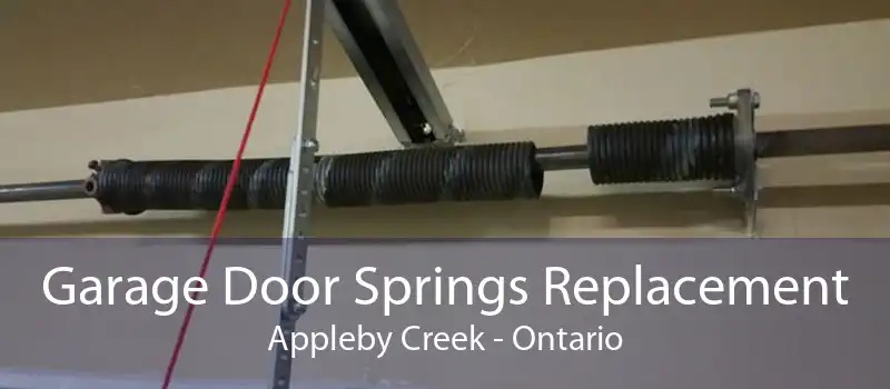 Garage Door Springs Replacement Appleby Creek - Ontario