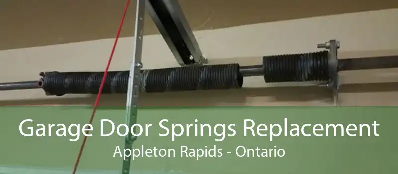 Garage Door Springs Replacement Appleton Rapids - Ontario