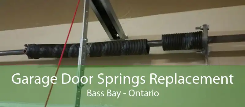 Garage Door Springs Replacement Bass Bay - Ontario