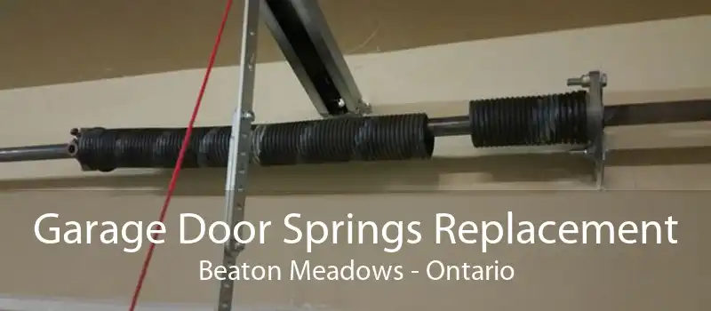 Garage Door Springs Replacement Beaton Meadows - Ontario