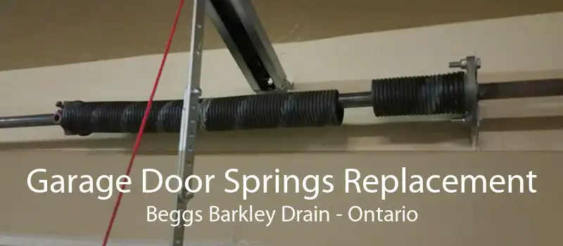 Garage Door Springs Replacement Beggs Barkley Drain - Ontario