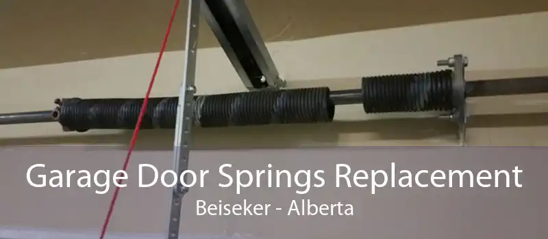 Garage Door Springs Replacement Beiseker - Alberta