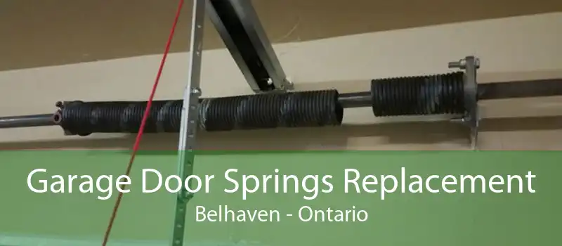 Garage Door Springs Replacement Belhaven - Ontario