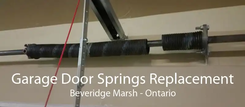 Garage Door Springs Replacement Beveridge Marsh - Ontario