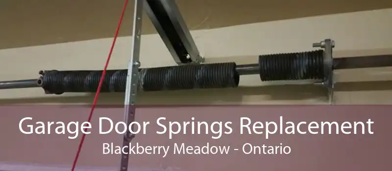 Garage Door Springs Replacement Blackberry Meadow - Ontario