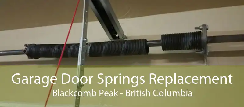 Garage Door Springs Replacement Blackcomb Peak - British Columbia