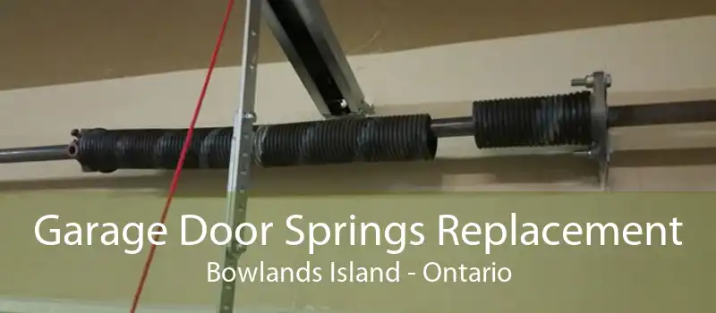 Garage Door Springs Replacement Bowlands Island - Ontario