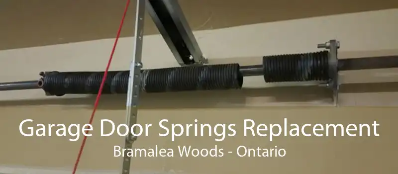Garage Door Springs Replacement Bramalea Woods - Ontario