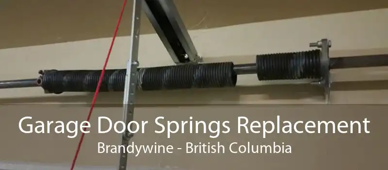 Garage Door Springs Replacement Brandywine - British Columbia