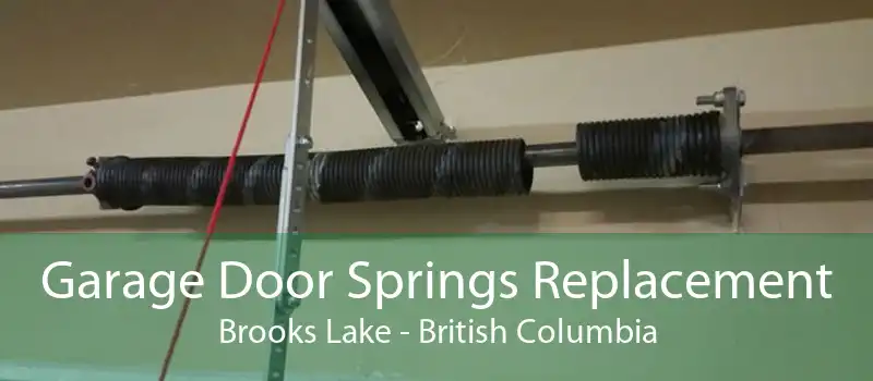 Garage Door Springs Replacement Brooks Lake - British Columbia