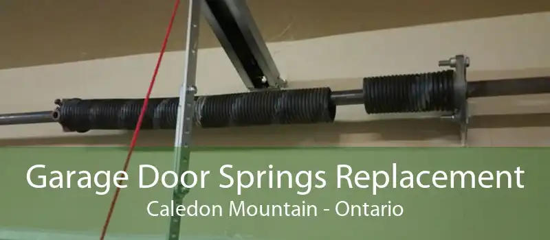 Garage Door Springs Replacement Caledon Mountain - Ontario