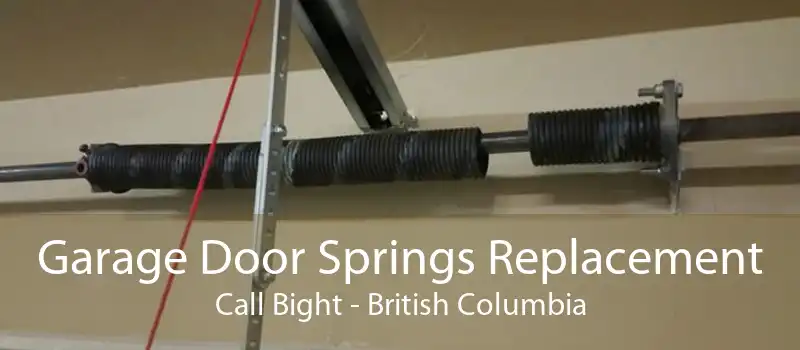 Garage Door Springs Replacement Call Bight - British Columbia