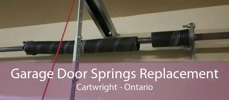 Garage Door Springs Replacement Cartwright - Ontario