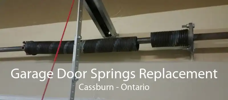 Garage Door Springs Replacement Cassburn - Ontario