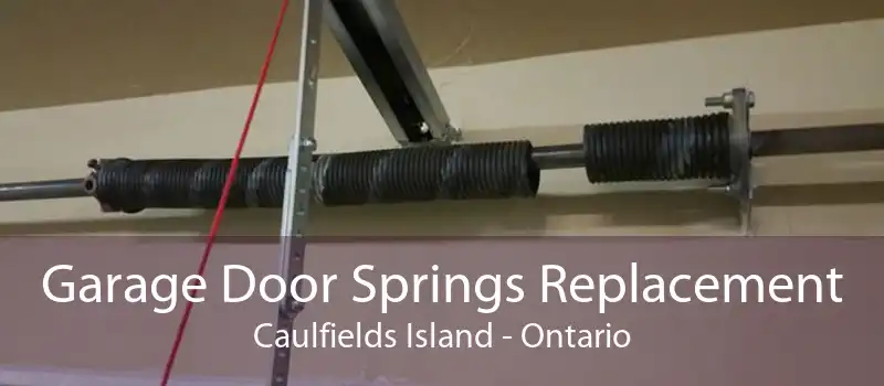 Garage Door Springs Replacement Caulfields Island - Ontario