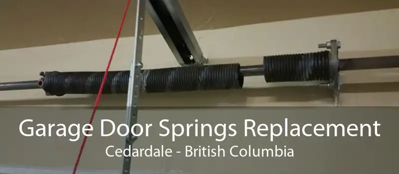 Garage Door Springs Replacement Cedardale - British Columbia