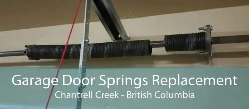 Garage Door Springs Replacement Chantrell Creek - British Columbia