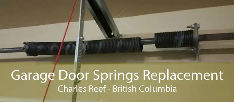 Garage Door Springs Replacement Charles Reef - British Columbia
