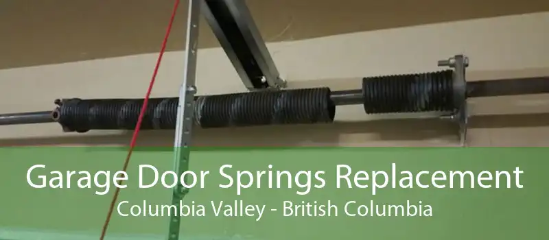 Garage Door Springs Replacement Columbia Valley - British Columbia