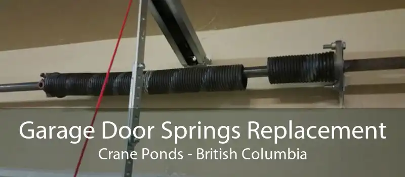 Garage Door Springs Replacement Crane Ponds - British Columbia