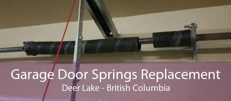 Garage Door Springs Replacement Deer Lake - British Columbia