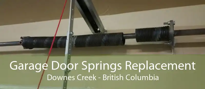 Garage Door Springs Replacement Downes Creek - British Columbia