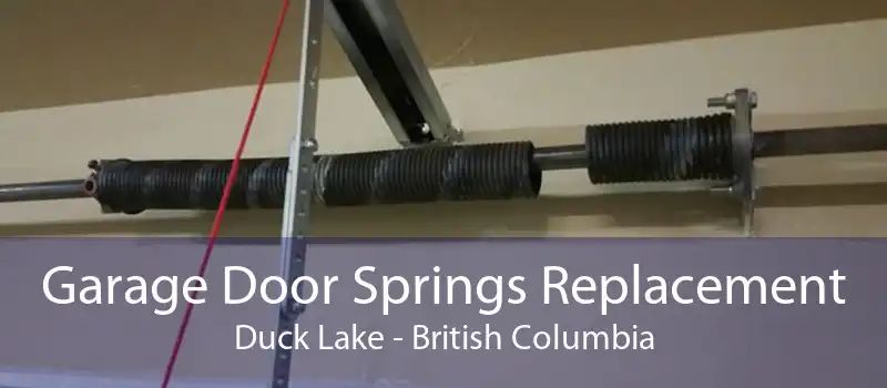 Garage Door Springs Replacement Duck Lake - British Columbia