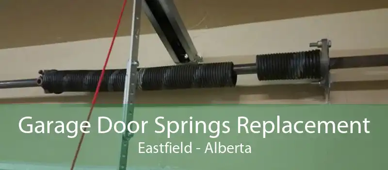 Garage Door Springs Replacement Eastfield - Alberta