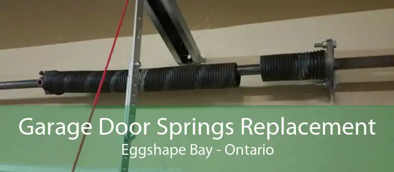 Garage Door Springs Replacement Eggshape Bay - Ontario