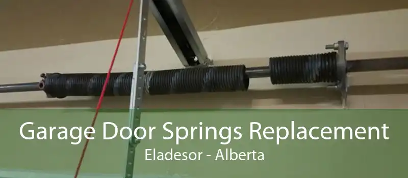 Garage Door Springs Replacement Eladesor - Alberta