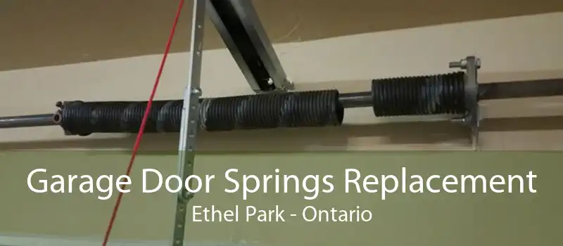 Garage Door Springs Replacement Ethel Park - Ontario