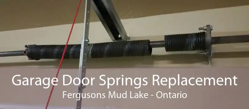 Garage Door Springs Replacement Fergusons Mud Lake - Ontario