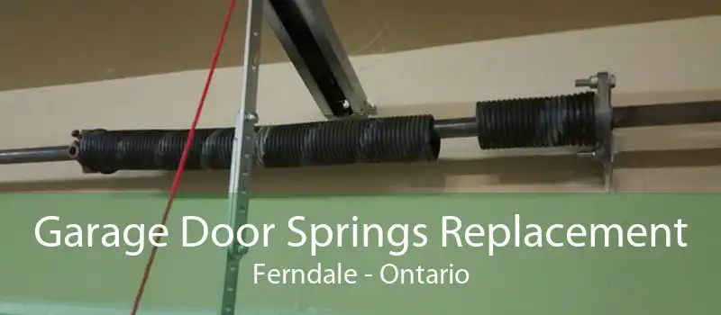 Garage Door Springs Replacement Ferndale - Ontario